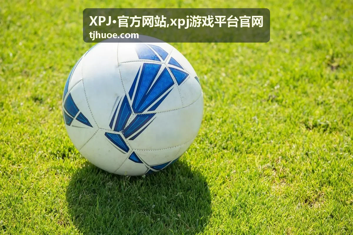 XPJ·官方网站官网识别说明封面