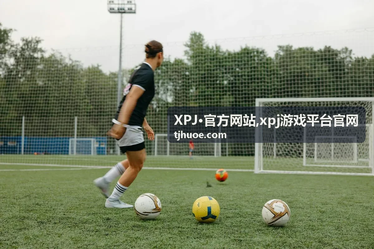 XPJ·官方网站访问提醒缩略图
